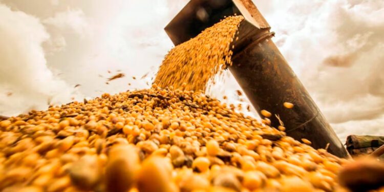 Energía y agro lideran la diversificación de la matriz exportadora argentina