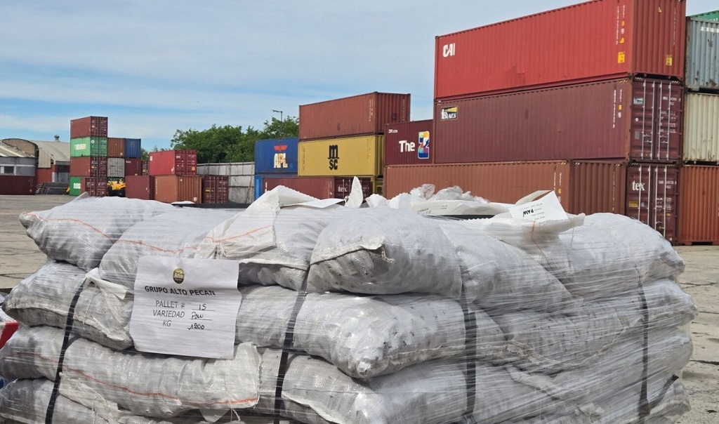 Hito Comercial: Primera Exportación de Nuez Pecán Argentina a China con Envío de 20 Toneladas