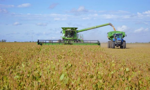 El agro como motor del cambio: Cómo Argentina podría producir 251 millones de toneladas y transformar su economía