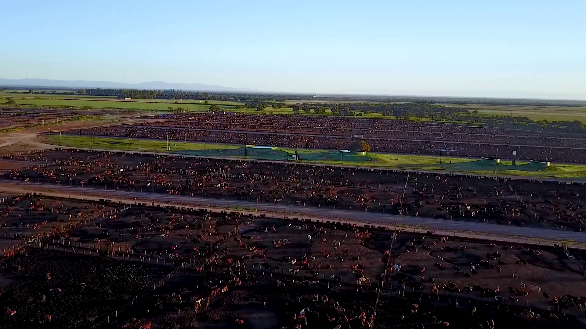 Rafael Aguilar, CEO de Juramento, presentó en Expoagro 2026 su ambicioso plan de expansión y eficiencia productiva