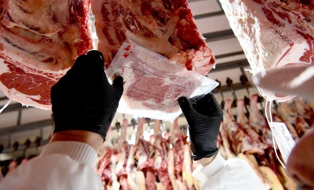 Escasez de oferta y retención de hacienda: Rosgan proyecta una fuerte caída en la producción de carne para 2026