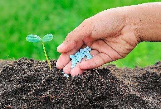 Salud del suelo en Expoagro: El INTA advierte sobre la brecha de nutrientes en Argentina