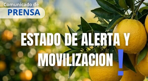 UATRE Salta se Declara en Estado de Alerta por el Estancamiento de la Paritaria Citrícola