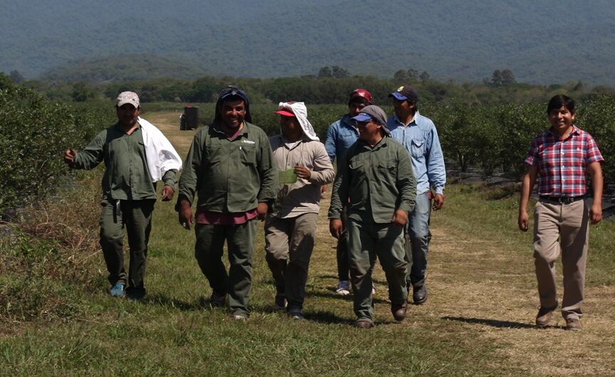 Protección social rural: El RENATRE actualizó los montos de la prestación por desempleo y lanzó un programa de reinserción laboral