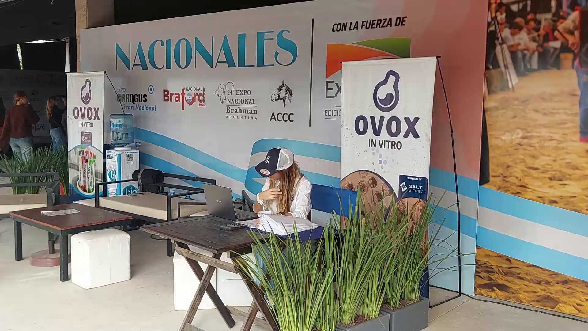 Balance de Exponenciar: Con 55 mil cabezas rematadas y más de 200 cabañas, la ganadería argentina mostró su máximo potencial en Corrientes