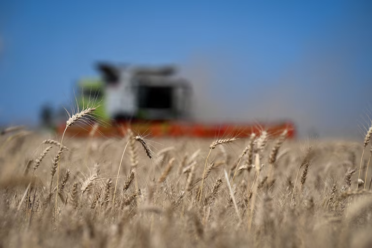 Baja de Retenciones al Agro: El Impacto en la Recaudación y la Ganancia del Productor