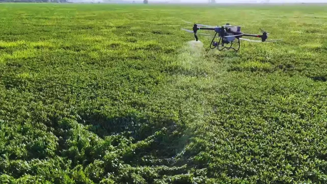 Los Drones Aplicadores Ganan Terreno y Optimizan el Manejo de los Cultivos