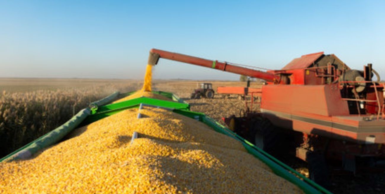 El Campo Exportó Más de 60 Millones de Toneladas en el Primer Semestre