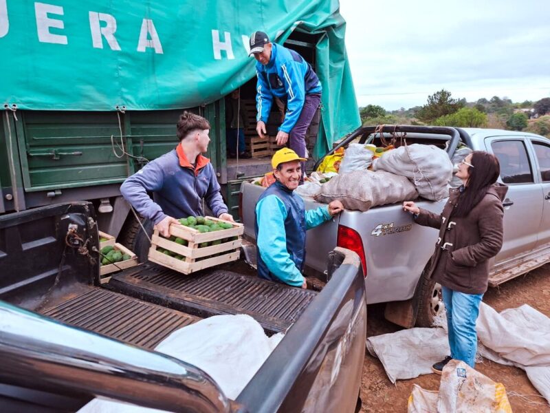 Economías Regionales: Productores de Palta Hass Concretaron Venta Histórica a Tucumán