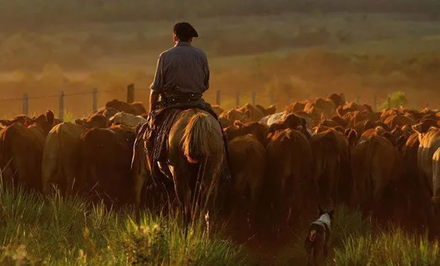 Paritaria Rural: UATRE Denunció Congelamiento Salarial Frente a una Cosecha Récord