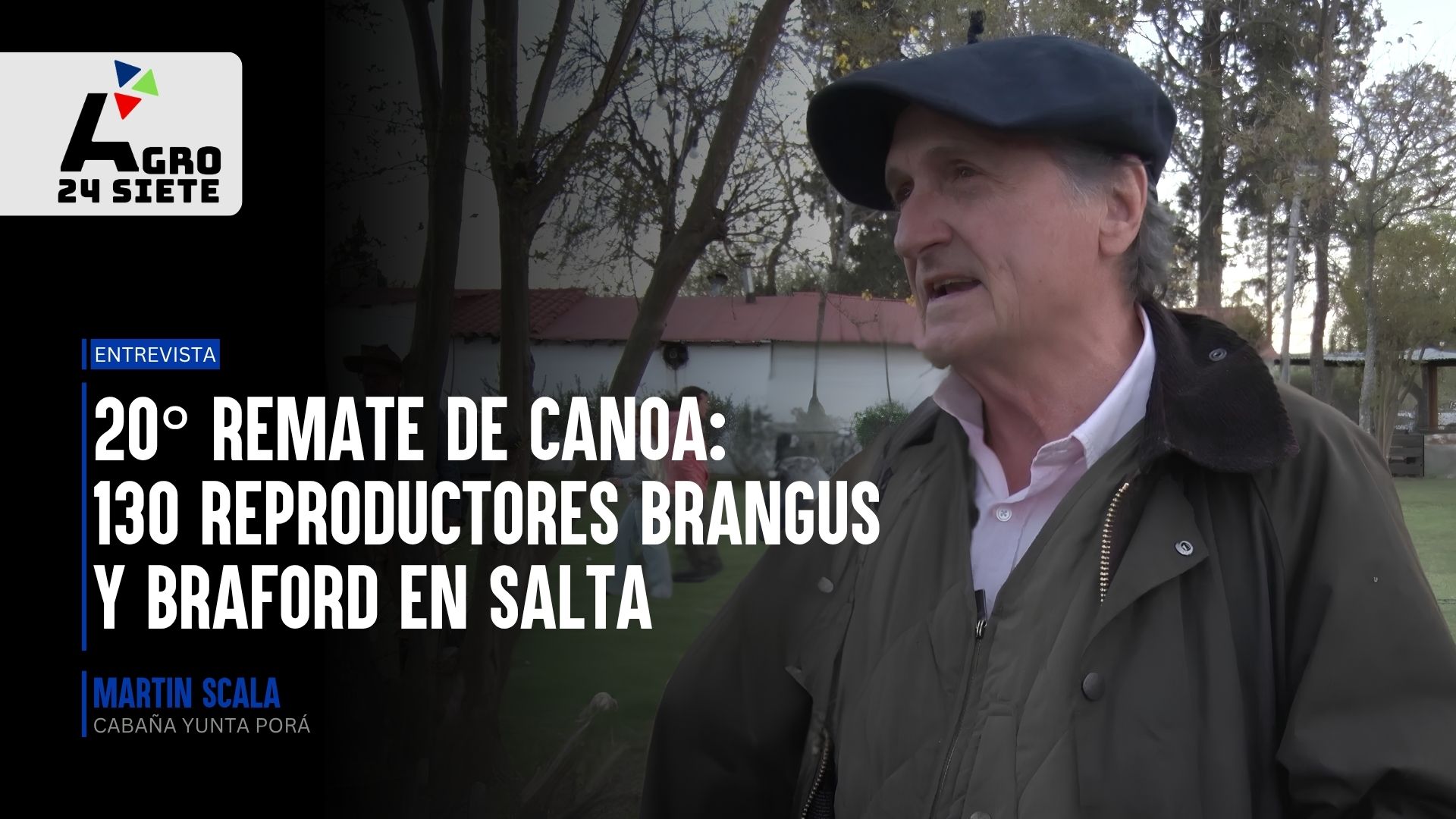 Cabañas Asociadas del NOA celebra su 20° aniversario con su tradicional remate ganadero en Salta