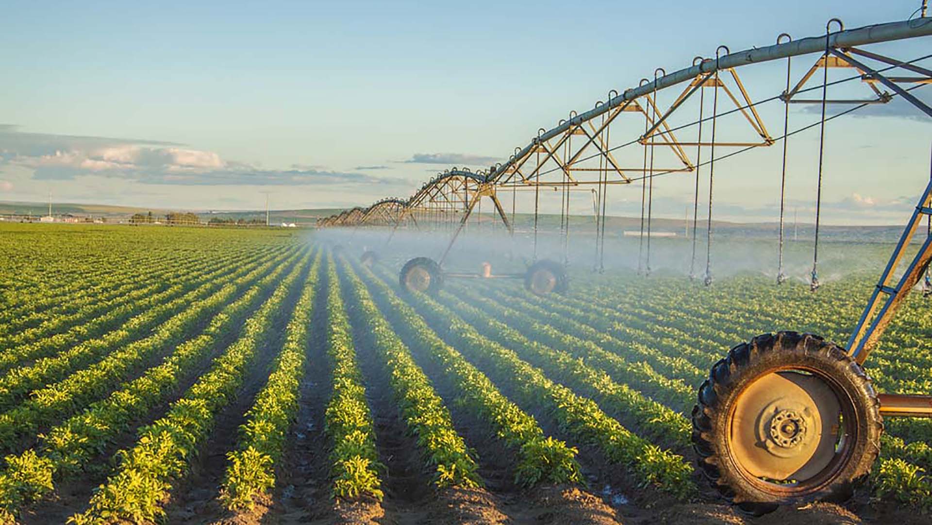 El RIMI impulsa el riego en el campo: “Ya se vendieron 600 pivots y se están negociando cerca de 800 más”