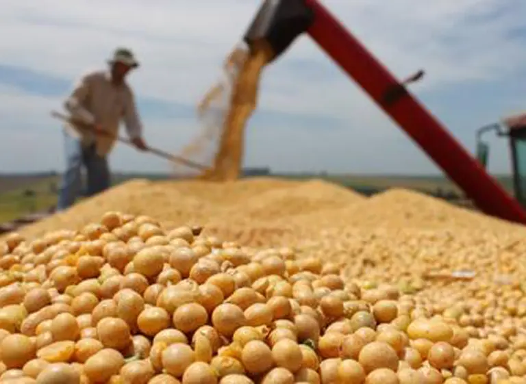 PROYECCIÓN AGRÍCOLA: Si el clima acompaña, el agro alcanzará un récord exportador de US$ 42.200 millones en 2027
