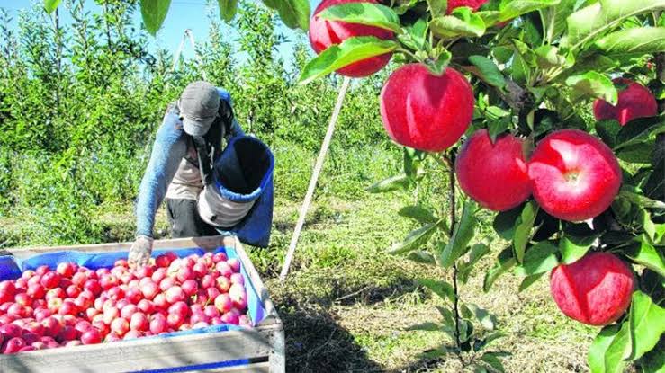 UATRE denuncia que 120.000 empleos rurales están en riesgo por el vencimiento del régimen de compatibilidad laboral
