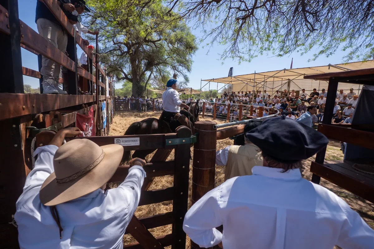 Jorge Brito analizó el gran momento de la ganadería en Salta: “Un ternero a 700 u 800 dólares era algo impensado hace veinte años”